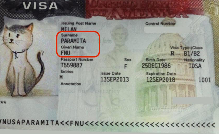 fnu usa visa stamp 