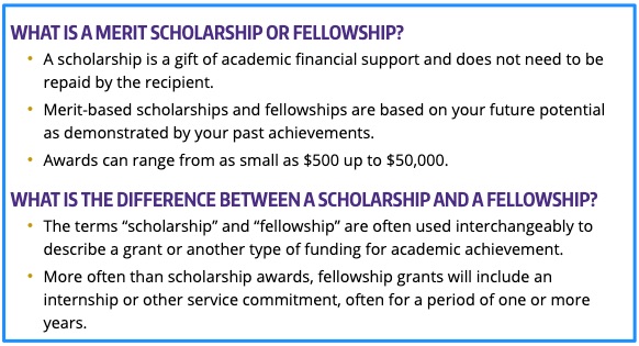 Scholarship vs Fellowship