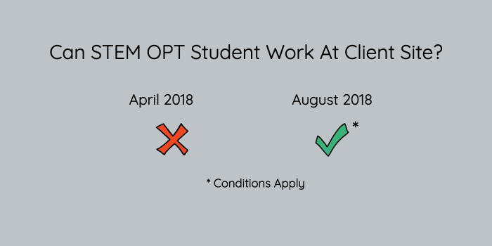 stem opt allowed to work as contractors
