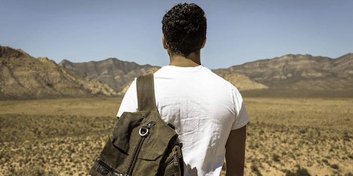 job search journey